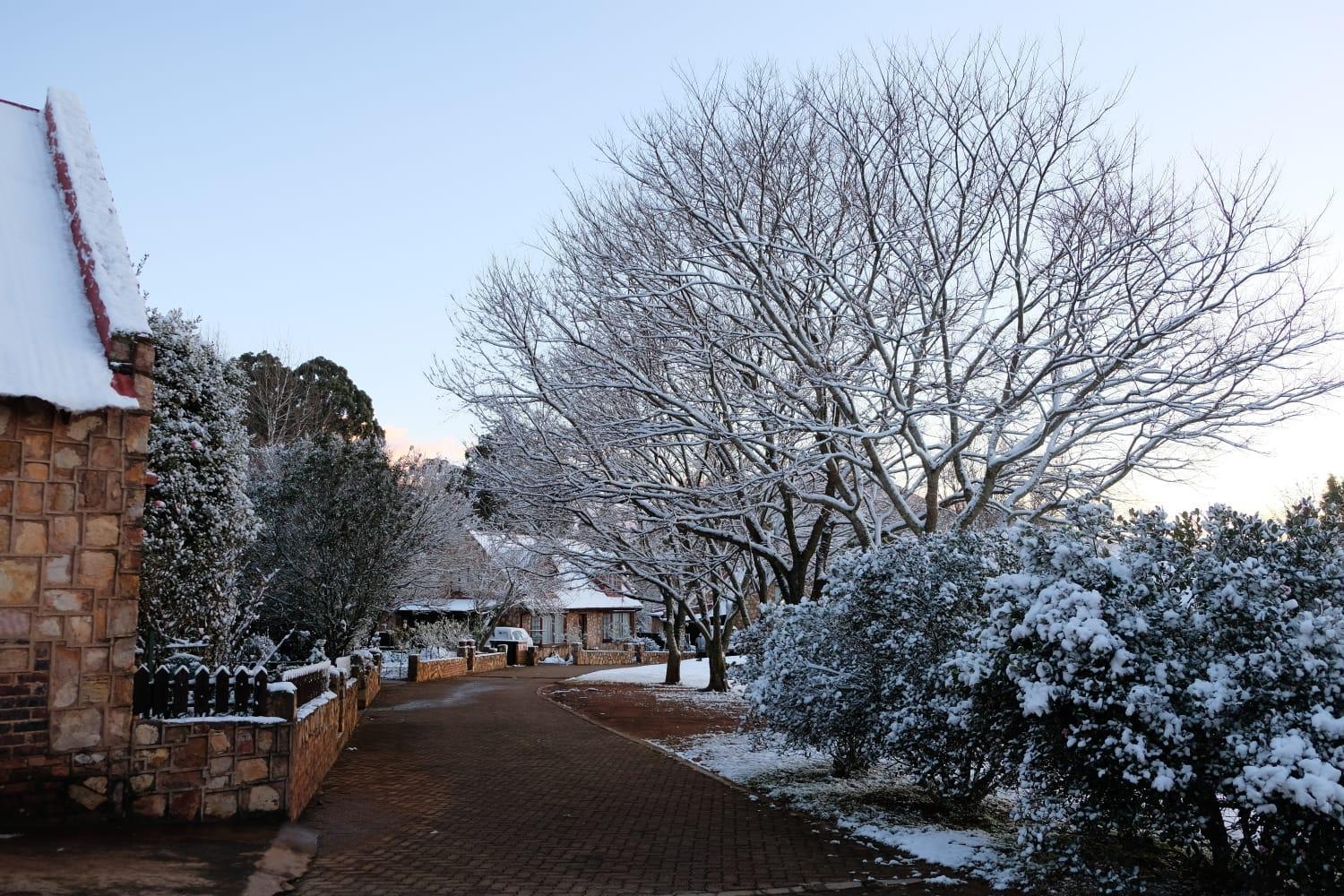 Dullvino Cottage No 15 At Critchley Dullstroom Exterior foto